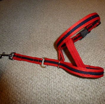 Head Harness 2